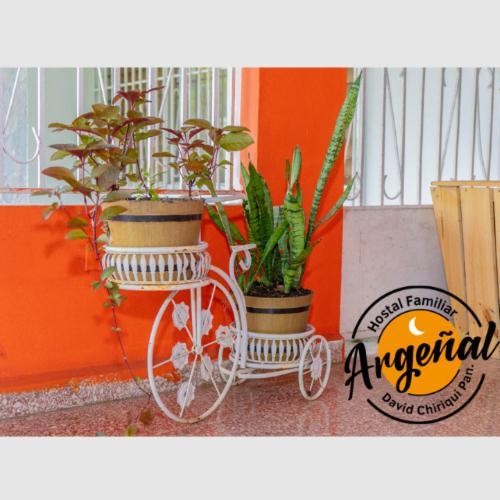 Hostal Familiar Argenal - David Esterno foto
